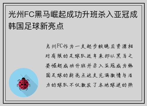 光州FC黑马崛起成功升班杀入亚冠成韩国足球新亮点 光州FC黑马崛起成功升班杀入亚冠成韩国足球新亮点